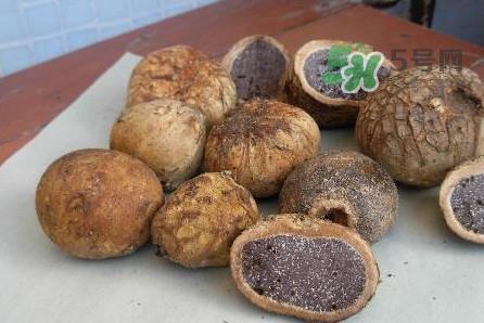 松露是保健品吗?松露怎么保存 松露是保健品吗?松露怎么保存