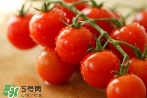 小番茄是转基因的吗?小番茄是不是转基因食品 小番茄是转基因的吗?小番茄是不是转基因食品