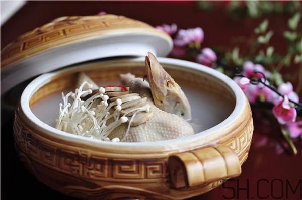 海参可以和鸭一起炖吗？海参鸭肉汤的功效作用