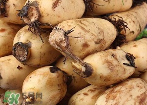 老藕和嫩藕的区别_老藕和嫩藕怎么区分