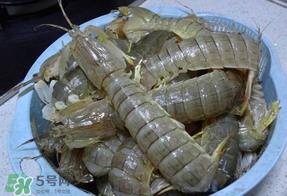 皮皮虾死的怎么清洗?死的皮皮虾怎么清洗? 皮皮虾死的怎么清洗?死的皮皮虾怎么清洗?