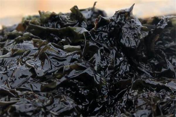 紫菜过期了还能吃吗 过期食品要扔掉