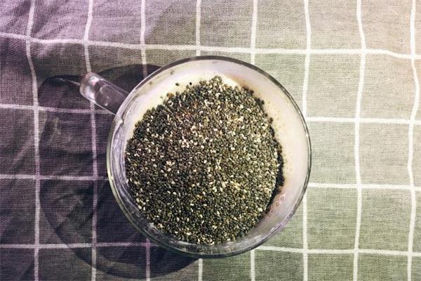 奇亚籽可以用牛奶泡吗 奇亚籽泡牛奶多久能吃 奇亚籽可以用牛奶泡吗 奇亚籽泡牛奶多久能吃