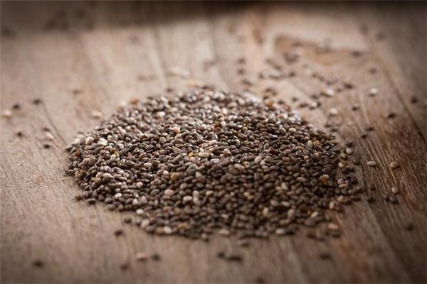 奇亚籽可以用牛奶泡吗 奇亚籽泡牛奶多久能吃 奇亚籽可以用牛奶泡吗 奇亚籽泡牛奶多久能吃