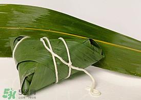 新鲜粽叶怎么处理?新鲜粽子叶怎样处理? 新鲜粽叶怎么处理?新鲜粽子叶怎样处理?