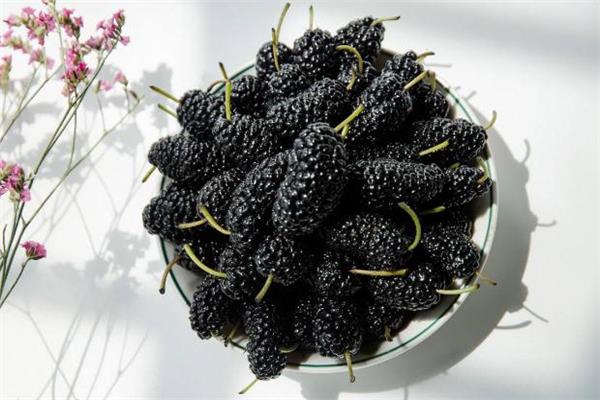 桑葚和玉米须能一起泡水喝吗 功效非常多