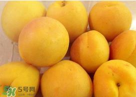 杏吃多了会怎么样?杏吃多了会不会上火? 杏吃多了会怎么样?杏吃多了会不会上火?