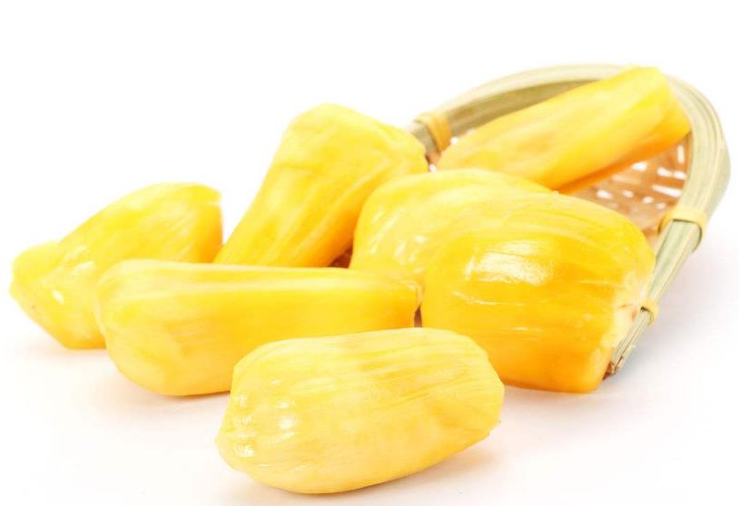 菠萝蜜硬硬的还能吃吗 菠萝蜜半生不熟的可以吃吗 菠萝蜜硬硬的还能吃吗 菠萝蜜半生不熟的可以吃吗