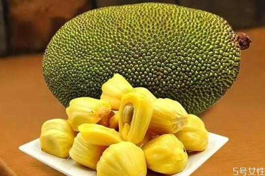 菠萝蜜硬硬的还能吃吗 菠萝蜜半生不熟的可以吃吗 菠萝蜜硬硬的还能吃吗 菠萝蜜半生不熟的可以吃吗