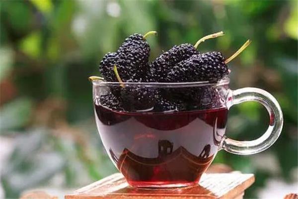 桑葚酒养生吗 桑葚酒怎么做好喝 桑葚酒养生吗 桑葚酒怎么做好喝