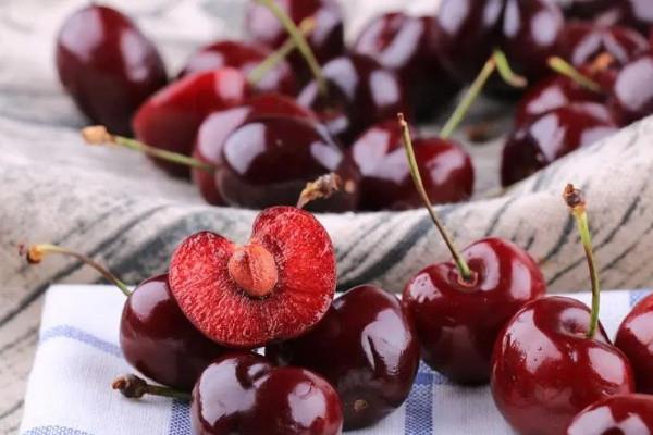 车厘子和樱桃是一个品种吗 车厘子和樱桃哪种贵 车厘子和樱桃是一个品种吗 车厘子和樱桃哪种贵