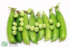 豌豆隔夜能吃吗?豌豆可以隔夜吃吗? 豌豆隔夜能吃吗?豌豆可以隔夜吃吗?