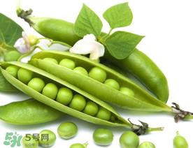豌豆隔夜能吃吗?豌豆可以隔夜吃吗? 豌豆隔夜能吃吗?豌豆可以隔夜吃吗?