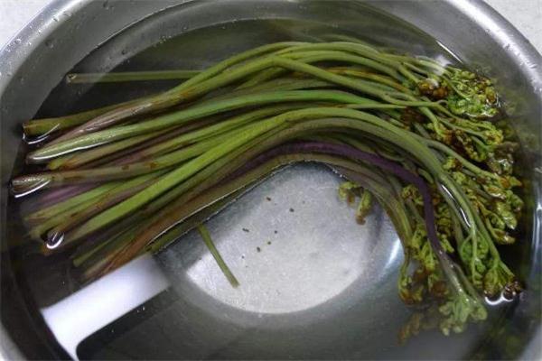 蕨菜可以包包子吗 蕨菜包子的做法 蕨菜可以包包子吗 蕨菜包子的做法