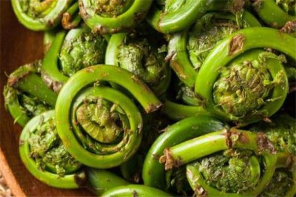 蕨菜可以包包子吗 蕨菜包子的做法 蕨菜可以包包子吗 蕨菜包子的做法