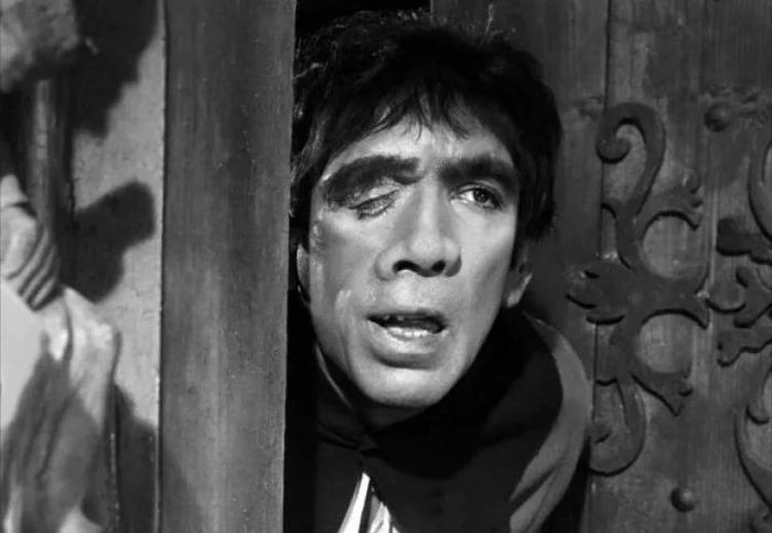 巴黎圣母院是面镜子，照出人类的嘴脸和命运