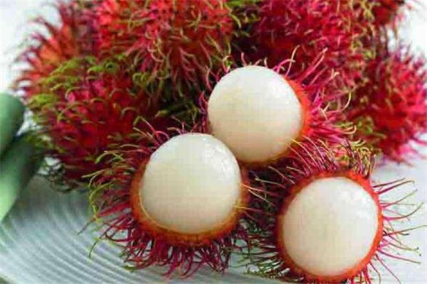 吃红毛丹会拉肚子吗 拉肚子能吃红毛丹吗 吃红毛丹会拉肚子吗 拉肚子能吃红毛丹吗