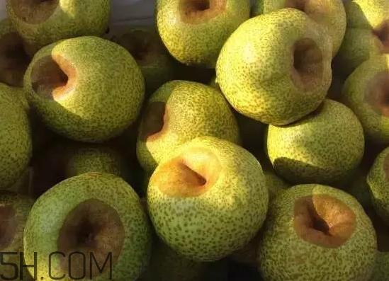 莱阳梨几月份才会有?正宗莱阳梨哪里能买的到 莱阳梨几月份才会有?正宗莱阳梨哪里能买的到