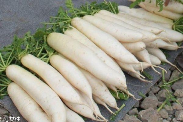 萝卜干有什么功效 萝卜的功效有什么 萝卜干有什么功效 萝卜的功效有什么