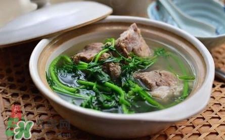 西洋菜怎么吃?西洋菜怎么做好吃 西洋菜怎么吃?西洋菜怎么做好吃