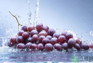 新鲜葡萄籽可以吃吗?葡萄籽有什么作用? 新鲜葡萄籽可以吃吗?葡萄籽有什么作用?