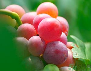 新鲜葡萄籽可以吃吗?葡萄籽有什么作用? 新鲜葡萄籽可以吃吗?葡萄籽有什么作用?