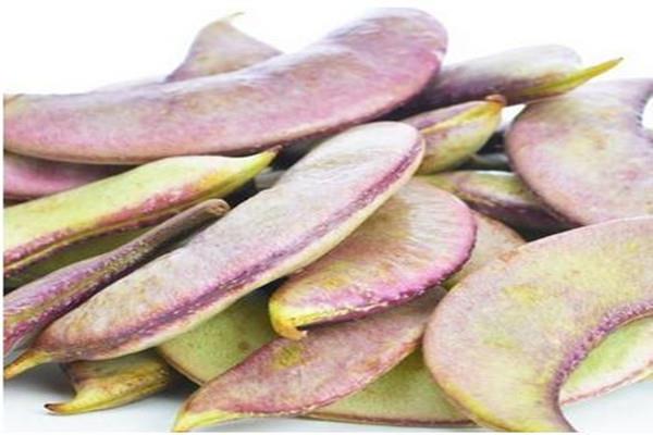 扁豆的营养成分 吃扁豆的好处 扁豆的营养成分 吃扁豆的好处