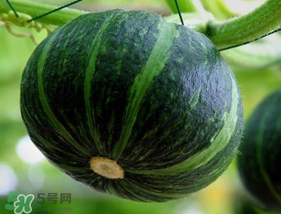 贝贝南瓜蒸多久能吃?贝贝南瓜和普通南瓜有什么区别 贝贝南瓜蒸多久能吃?贝贝南瓜和普通南瓜有什么区别