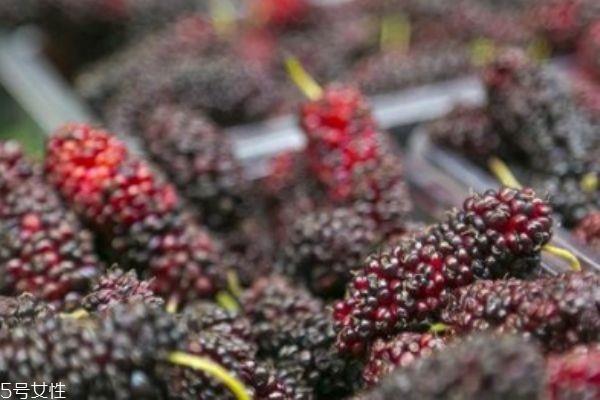 桑葚上有毛毛正常吗 桑椹每日吃多少 桑葚上有毛毛正常吗 桑椹每日吃多少