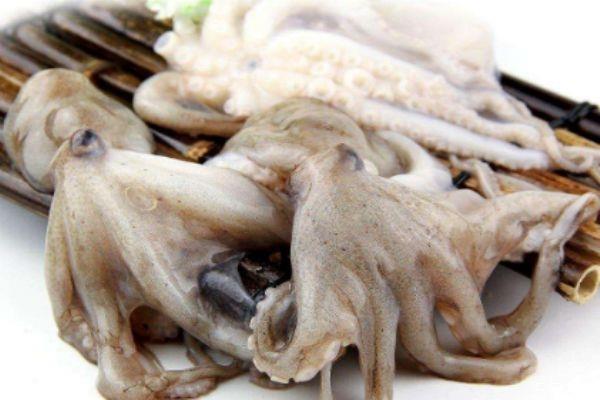 八爪鱼应该怎么清洗 清洗八爪鱼的方法 八爪鱼应该怎么清洗 清洗八爪鱼的方法