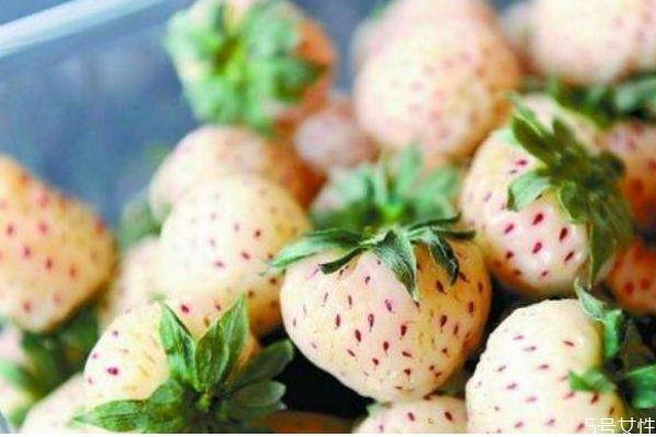 吃菠萝莓有什么好处呢 吃菠萝莓有什么注意的呢 吃菠萝莓有什么好处呢 吃菠萝莓有什么注意的呢