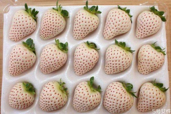 吃菠萝莓有什么好处呢 吃菠萝莓有什么注意的呢 吃菠萝莓有什么好处呢 吃菠萝莓有什么注意的呢