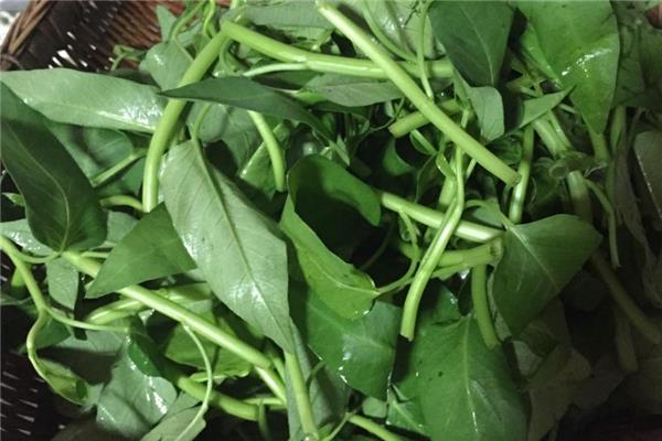 空心菜什么季节有 夏季比较常见