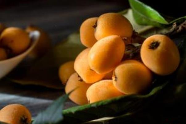 枇杷可以止咳化痰吗 枇杷怎么煮水止咳化痰 枇杷可以止咳化痰吗 枇杷怎么煮水止咳化痰