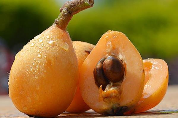 枇杷可以止咳化痰吗 枇杷怎么煮水止咳化痰 枇杷可以止咳化痰吗 枇杷怎么煮水止咳化痰