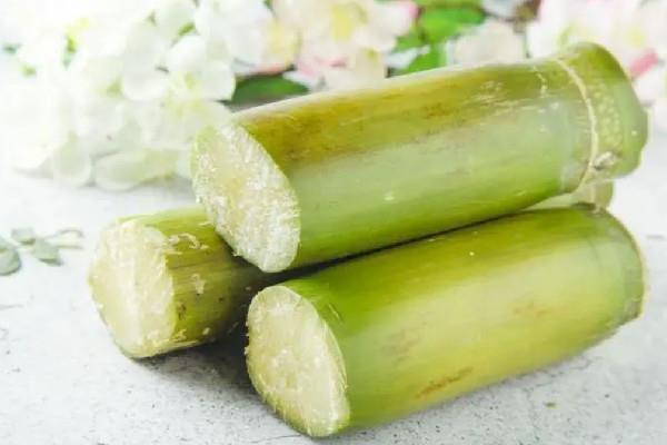 甘蔗变红砍掉后能吃吗 甘蔗变红了有毒吗