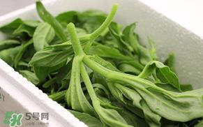 冰菜什么人不适宜吃?冰菜什么体质不能吃? 冰菜什么人不适宜吃?冰菜什么体质不能吃?