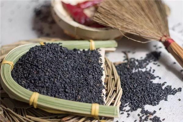 黑芝麻能补肾吗 黑芝麻有什么功效 黑芝麻能补肾吗 黑芝麻有什么功效