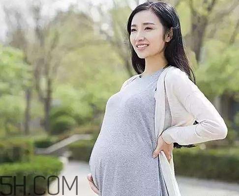 怀孕了可以吃可乐鸡翅吗?可乐鸡翅什么人不能吃 怀孕了可以吃可乐鸡翅吗?可乐鸡翅什么人不能吃