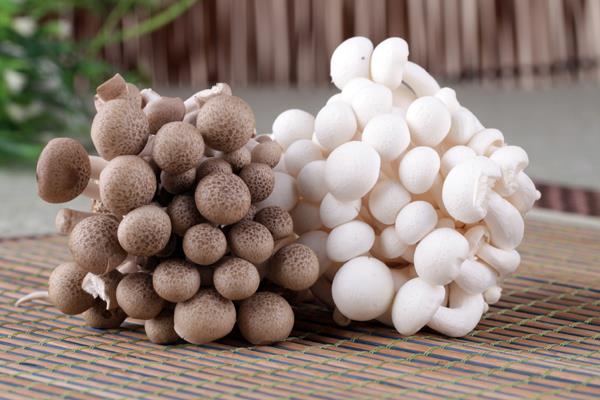 蟹味菇是什么样子 怎么挑选蟹味菇 蟹味菇是什么样子 怎么挑选蟹味菇