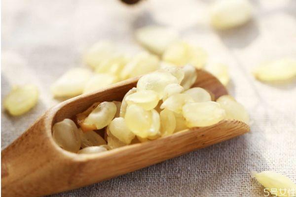 雪莲子可以怎么吃 雪莲子的吃法有什么 雪莲子可以怎么吃 雪莲子的吃法有什么