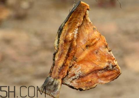 腌腊鱼十斤放多少盐 腌制腊鱼的用盐比例 腌腊鱼十斤放多少盐 腌制腊鱼的用盐比例