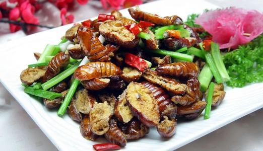 蝉蛹和蚕蛹的区别 一天适合吃多少蚕蛹 蝉蛹和蚕蛹的区别 一天适合吃多少蚕蛹