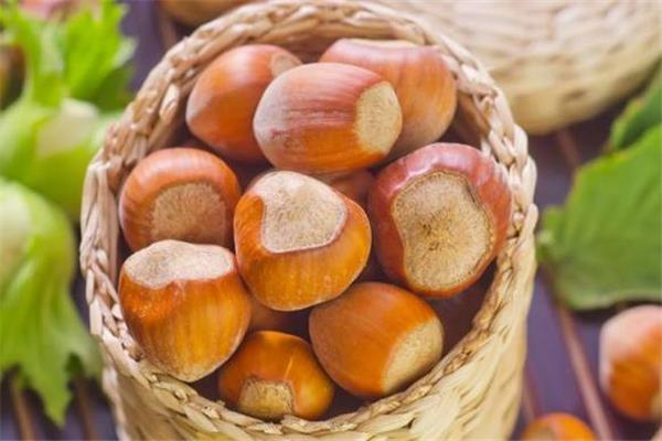 没开口的榛子怎么剥 榛子没开口怎么打开 没开口的榛子怎么剥 榛子没开口怎么打开