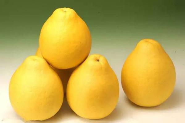 柚子能降血压吗 高血压吃柚子的好处 柚子能降血压吗 高血压吃柚子的好处