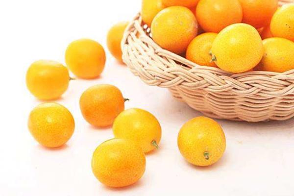 金桔放冰箱可以放多久 金桔能不能冷冻保存 金桔放冰箱可以放多久 金桔能不能冷冻保存