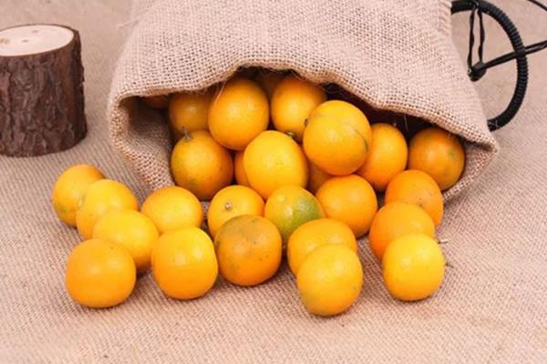 金桔放冰箱可以放多久 金桔能不能冷冻保存 金桔放冰箱可以放多久 金桔能不能冷冻保存