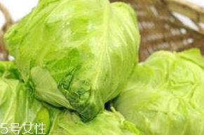 牛心菜的功效和作用 牛心菜对人体的作用 牛心菜的功效和作用 牛心菜对人体的作用