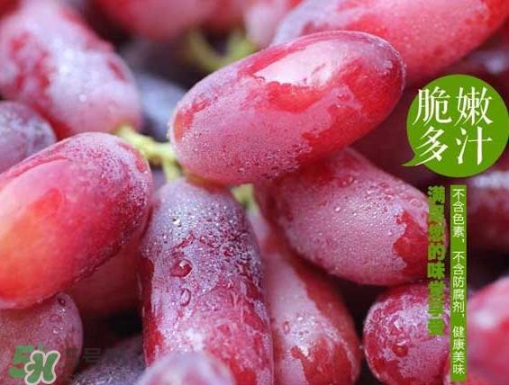 无籽红提有涂避孕药吗？无籽红提是转基因吗？