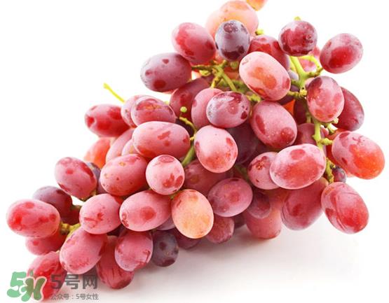 无籽红提有涂避孕药吗？无籽红提是转基因吗？